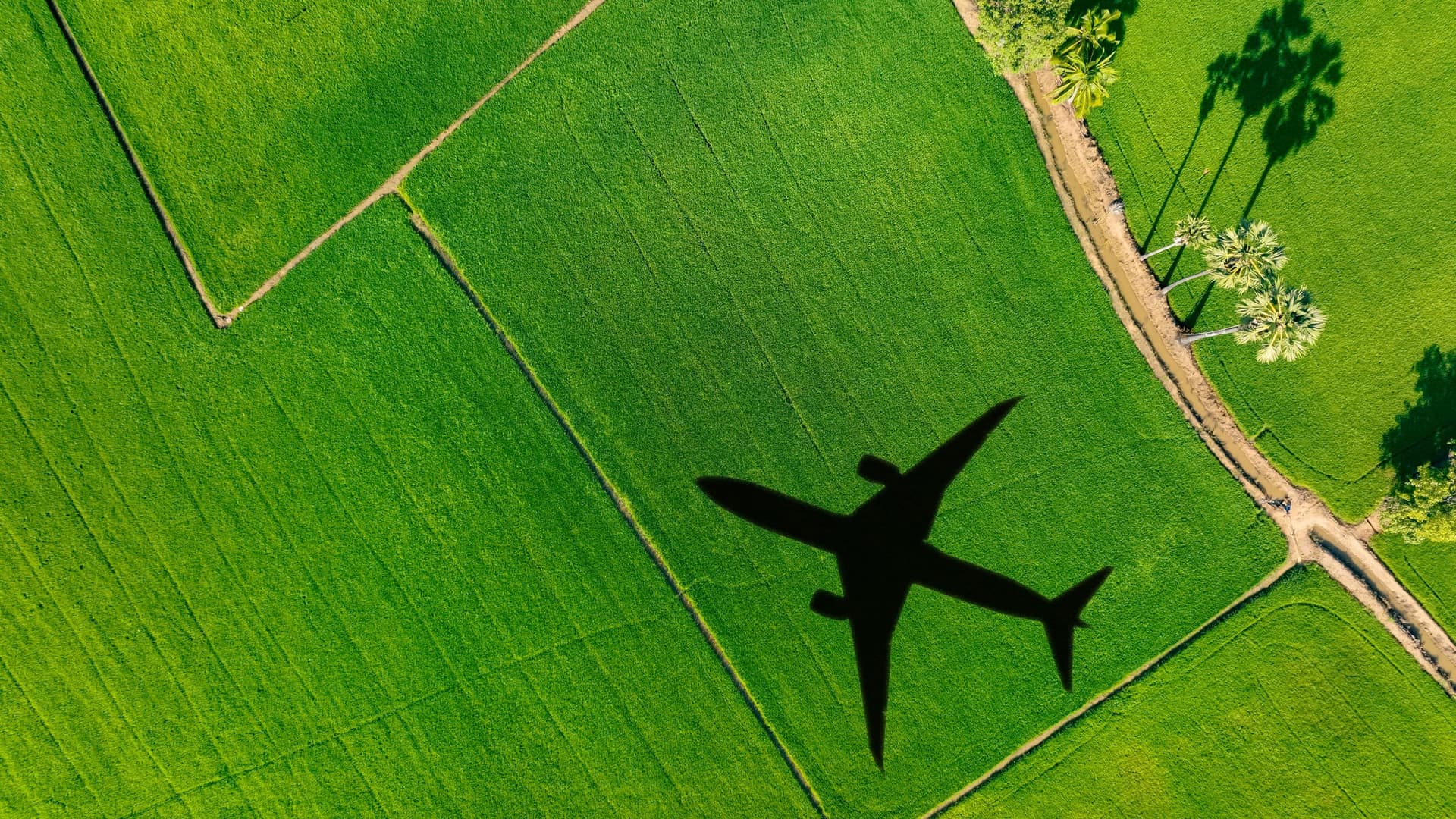avion green AdobeStock 16x9 8000 ko