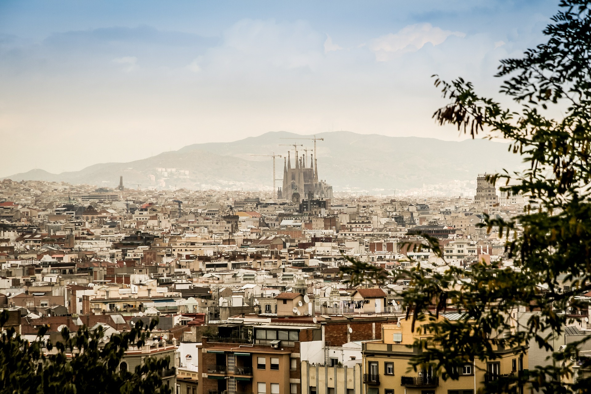 IAG, les vols long courrier low cost au départ de Barcelone pourront-ils intéresser les voyageurs d’affaires ?