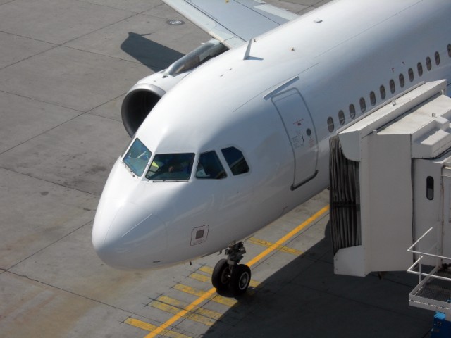 IATA : le trafic passagers a progressé de près de 5% en février