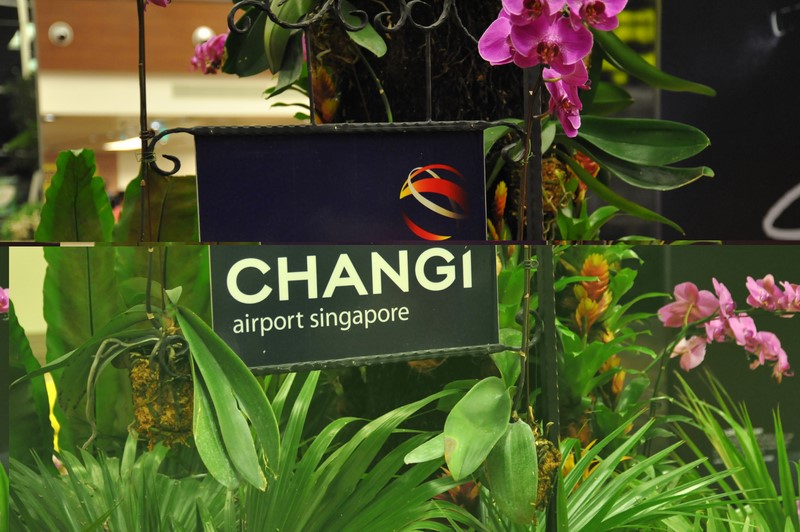 Singapore Changi Airport reste l'aéroport n°1