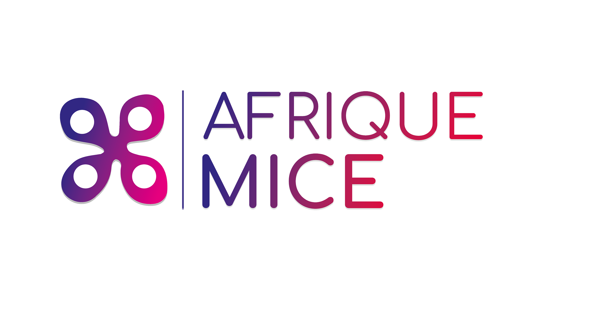 Enquête sur l’industrie du MICE en Afrique