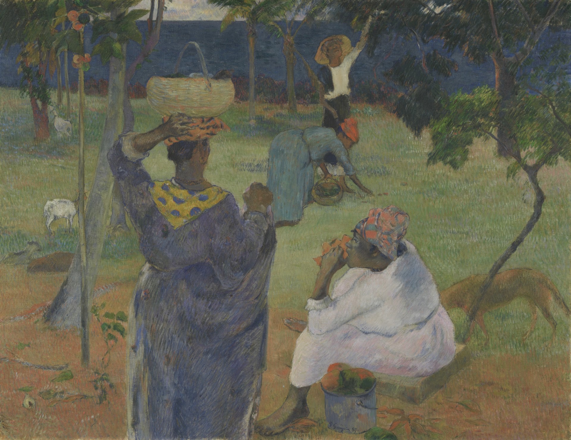 Gauguin à la Martinique...Via Amsterdam