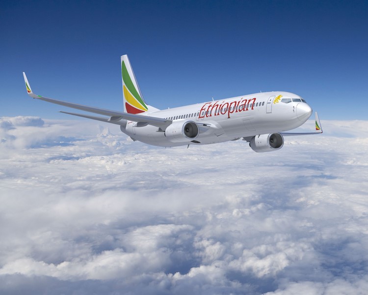 Crash d' Ethiopian Airlines: 9 français parmi les victimes