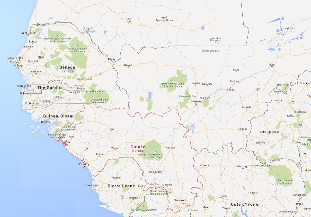 Ebola: l’Afrique de l’ouest se mobilise avec l'OMS