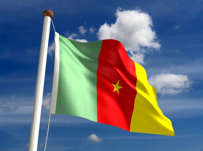 Cameroun: un 4ème aéroport international